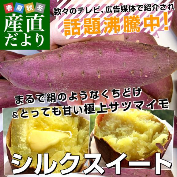 千葉県産 JAかとり シルクスイート Lサイズ2.5キロ 7本前後 送料無料 さつまいも サツマイモ 薩摩芋 新芋 市場発送02