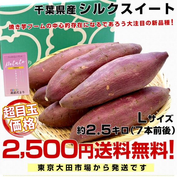 千葉県産 JAかとり シルクスイート　Lサイズ2.5キロ 7本前後　送料無料　さつまいも　サツマイモ　薩摩芋　新芋　市場発送03