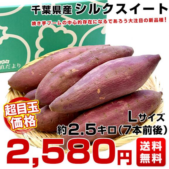 千葉県産 JAかとり シルクスイート Lサイズ2.5キロ 7本前後 送料無料 さつまいも サツマイモ 薩摩芋 新芋 市場発送03