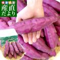 徳島県産　JA里浦　なると金時「里むすめ」　Lサイズ2.5キロ　10本前後　送料無料　きんとき　さつまいも　サツマイモ　薩摩芋　新芋　高系14号　市場発送