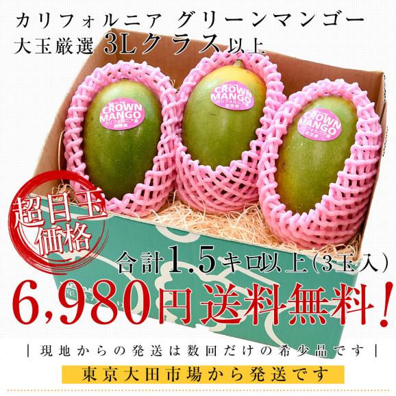 カリフォルニア グリーンマンゴー（キーツマンゴー）大玉厳選 3Lクラス以上 合計1.5キロ以上（3玉入）送料無料 マンゴー トロピカルフルーツ ※クール便03