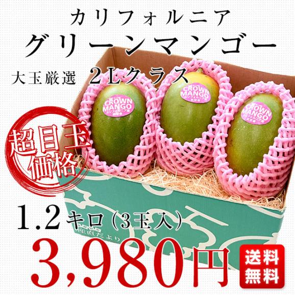 カリフォルニア　グリーンマンゴー（キーツマンゴー）大玉厳選２L　1.2キロ（3玉入）送料無料 クール便 マンゴー キーツマンゴー トロピカルフルーツ03