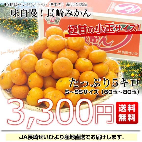 長崎県より産地直送 JA長崎せいひ 長崎みかん 小玉 SからSSサイズ 5キロ 蜜柑 ミカン 送料無料　御歳暮 お歳暮03