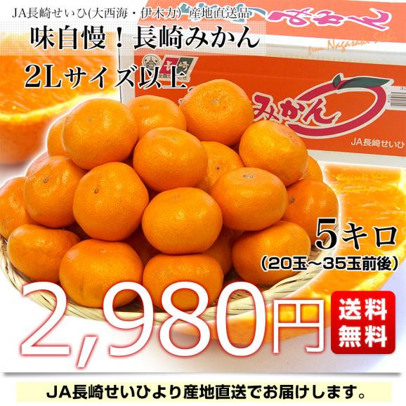 長崎県より産地直送 JA長崎せいひ 長崎みかん ２L以上の大玉 5キロ（20玉から35玉前後） 蜜柑 ミカン　送料無料　御歳暮 お歳暮03