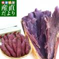 千葉県産　JAかとり　パープルスイートロード（千葉むらさき）　Mサイズ5キロ　20本前後　送料無料　さつまいも　サツマイモ　薩摩芋　野菜　市場発送