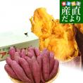 千葉県産　JAかとり　アヤコマチ　Mサイズ5キロ　20本前後　送料無料　さつまいも　サツマイモ　薩摩芋　にんじん芋　オレンジ芋　野菜　市場発送