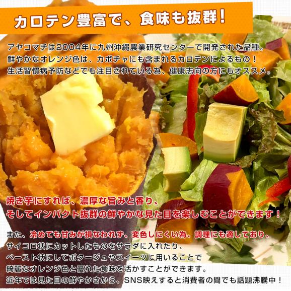 千葉県産　JAかとり　アヤコマチ　Mサイズ5キロ　20本前後　送料無料　さつまいも　サツマイモ　薩摩芋　にんじん芋　オレンジ芋　野菜　市場発送05