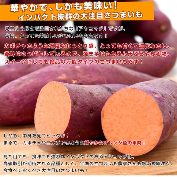 千葉県産　JAかとり　アヤコマチ　Mサイズ2.5キロ　10本前後　送料無料　さつまいも　サツマイモ　薩摩芋　にんじん芋　オレンジ芋　野菜　市場発送04