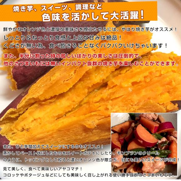千葉県産　JAかとり　アヤコマチ　Mサイズ2.5キロ　10本前後　送料無料　さつまいも　サツマイモ　薩摩芋　にんじん芋　オレンジ芋　野菜　市場発送06