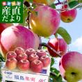 福島県より産地直送 JAふくしま未来「陽光」秀品 約2.8キロ(8玉から10玉)×2箱 りんご 林檎 リンゴ 送料無料