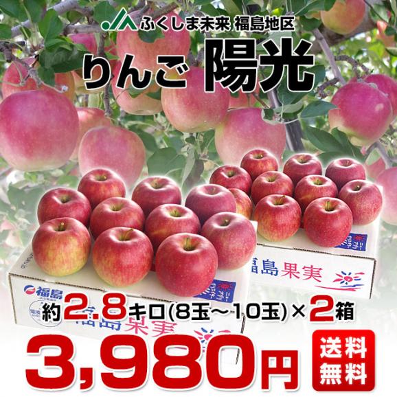 福島県より産地直送 JAふくしま未来「陽光」秀品 約2.8キロ(8玉から10玉)×2箱 りんご 林檎 リンゴ 送料無料03