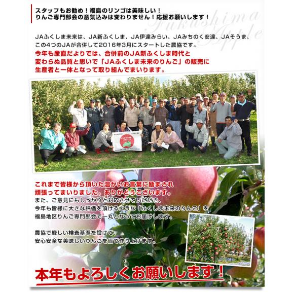 福島県より産地直送 JAふくしま未来「陽光」秀品 約2.8キロ(8玉から10玉)×2箱 りんご 林檎 リンゴ 送料無料04
