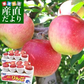 福島県より産地直送 JAふくしま未来「サンふじりんご」秀品 約2.8キロ(8玉から10玉) ×2箱　送料無料 林檎 リンゴ