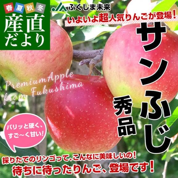 福島県より産地直送 JAふくしま未来「サンふじりんご」秀品 約2.8キロ(8玉から10玉) ×2箱　送料無料 林檎 リンゴ02