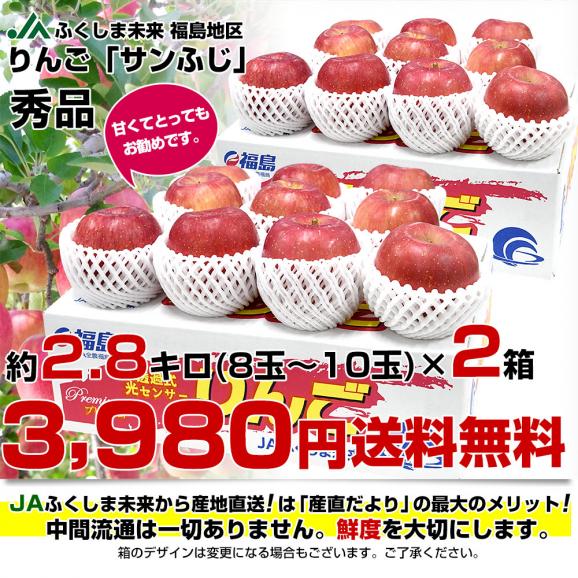 福島県より産地直送 JAふくしま未来「サンふじりんご」秀品 約2.8キロ(8玉から10玉) ×2箱　送料無料 林檎 リンゴ03