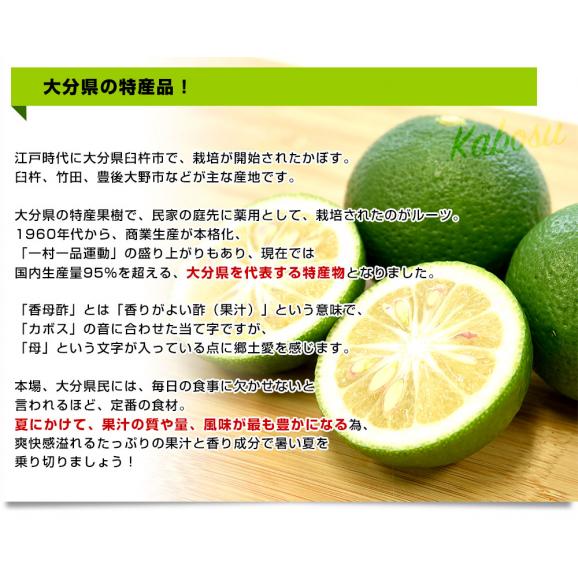 大分県産 JA全農おおいた 大分かぼす 秀品 Lサイズ 約2キロ 24個前後 送料無料 カボス 香母酢 香酸柑橘 薬味 市場発送05