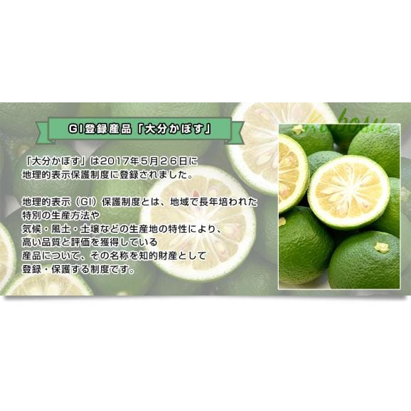 大分県産 JA全農おおいた 大分かぼす 秀品 Lサイズ 約2キロ 24個