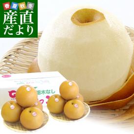 栃木県産にっこり梨 秀品 約5キロ （5玉から10玉）送料無料 なし 梨 ナシ