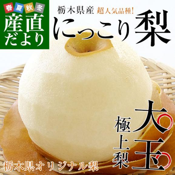 栃木県産にっこり梨 秀品 約5キロ （5玉から10玉）送料無料 なし 梨 ナシ02