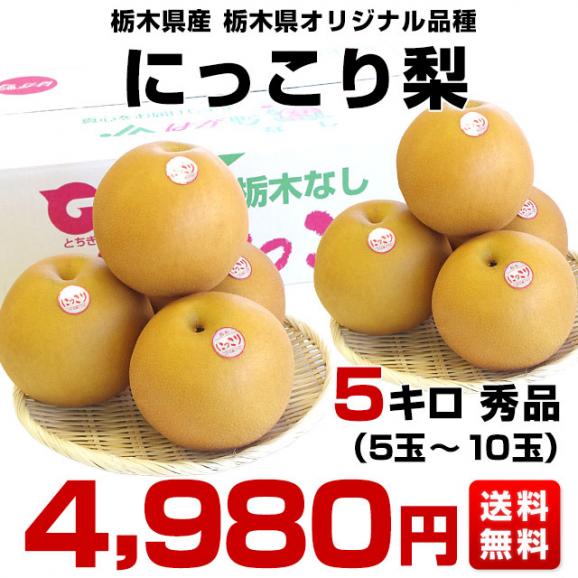 栃木県産にっこり梨 秀品 約5キロ （5玉から10玉）送料無料 なし 梨 ナシ03