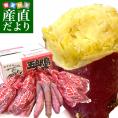 石川県産 JA金沢市 五郎島金時 秀品 Sから2Sサイズ 約5キロ 30本から40本入り 送料無料 さつまいも サツマイモ 薩摩芋 新芋 市場発送