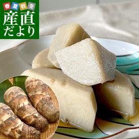 静岡県産　JA遠州中央　海老芋　2LからL　約2.5キロ（9個前後）　送料無料　えびいも　エビイモ　里芋　さといも　野菜　市場発送