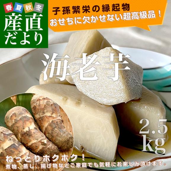 静岡県産　JA遠州中央　海老芋　2LからL　約2.5キロ（9個前後）　送料無料　えびいも　エビイモ　里芋　さといも　野菜　市場発送02