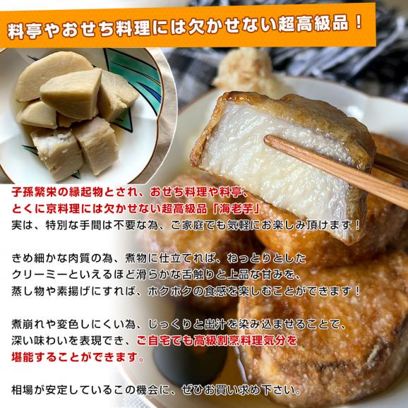 静岡県産　JA遠州中央　海老芋　2LからL　約2.5キロ（9個前後）　送料無料　えびいも　エビイモ　里芋　さといも　野菜　市場発送04