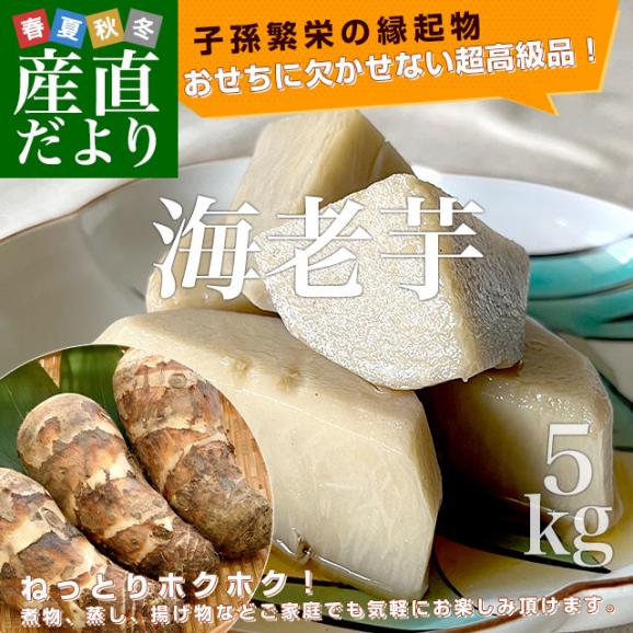 静岡県産　ＪＡ遠州中央　海老芋　2LからL　約5キロ（12から20個前後）　送料無料　えびいも　エビイモ　里芋　さといも　野菜　市場発送02