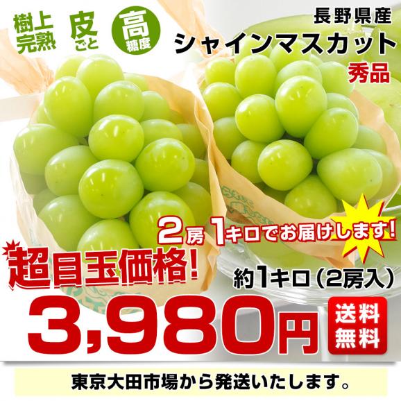 長野県産 シャインマスカット　秀品 約1キロ（2房）送料無料 ぶどう ブドウ 種なしぶどう03