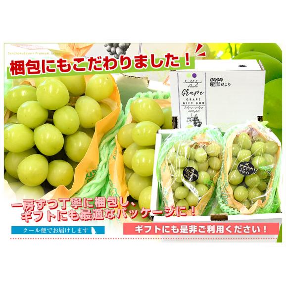 長野県産 シャインマスカット　約1キロ（2房）送料無料 ぶどう ブドウ 種なしぶどう  クール便発送05