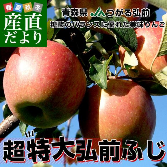 青森県より産地直送 JAつがる弘前 弘前ふじ 超大玉 5キロ (9玉から11玉) 送料無料 りんご リンゴ 林檎02