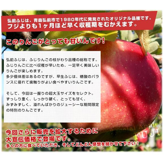青森県より産地直送 JAつがる弘前 弘前ふじ 超大玉 5キロ (9玉から11玉) 送料無料 りんご リンゴ 林檎04