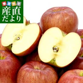 福島県より産地直送 JAふくしま未来「シナノスイート」秀品 約2.8キロ(8玉から10玉) 送料無料 林檎 リンゴ りんご