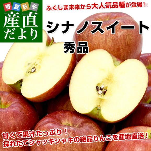福島県より産地直送 JAふくしま未来「シナノスイート」秀品 約2.8キロ(8玉から10玉) 送料無料 林檎 リンゴ りんご02