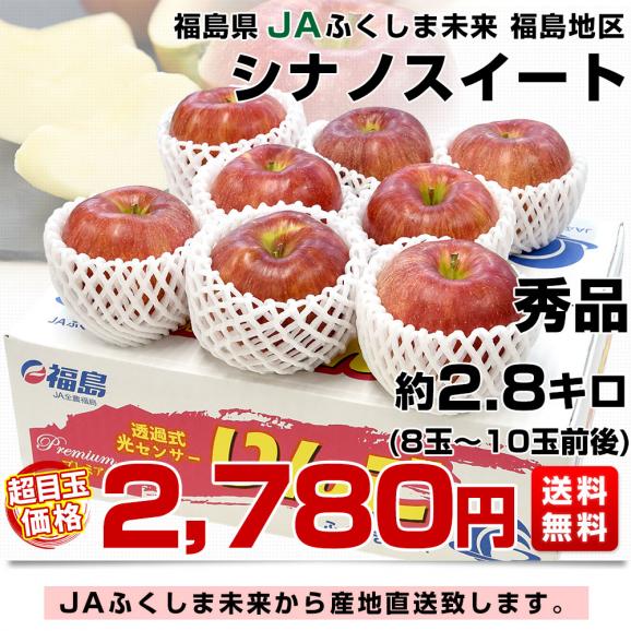 福島県より産地直送 JAふくしま未来「シナノスイート」秀品 約2.8キロ(8玉から10玉) 送料無料 林檎 リンゴ りんご03