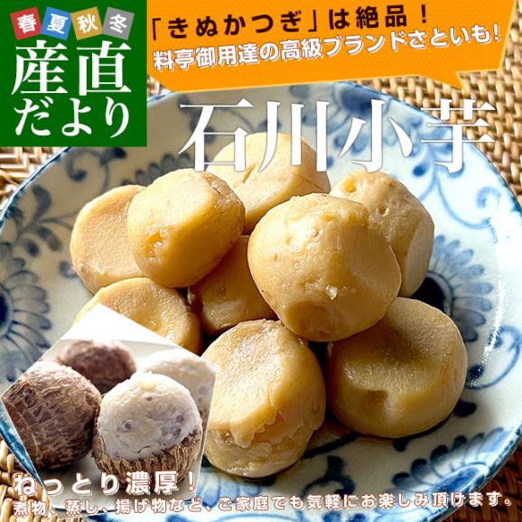 お得セット あきさん専用☆里芋(土垂) 約20kg 栃木県産 支払わ エアコン