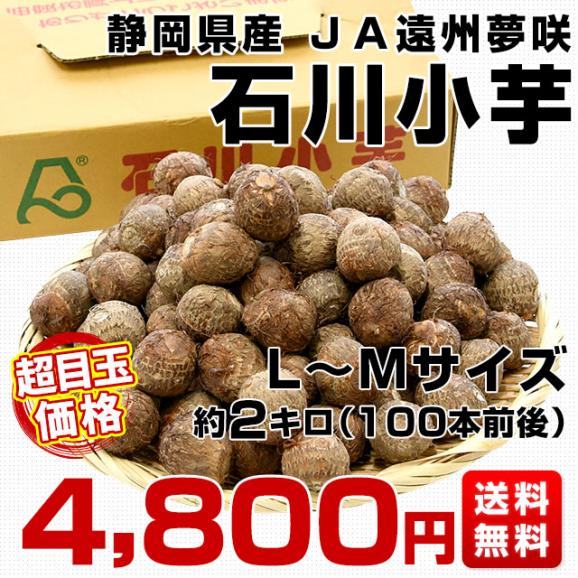 静岡県産 JA遠州夢咲 石川小芋 LからM 約2キロ(100個前後 静岡県産 JA遠州夢咲 石川小芋 LからM 約2キロ(100個前後
