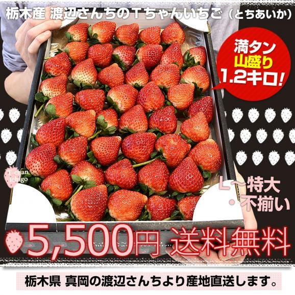 栃木県より産地直送 渡辺さんちのTちゃんいちご(とちあいか)大盛り1.2キロ(Lから特大:不揃い) 苺 いちご イチゴ ストロベリー 送料無料 ※クール便発送03