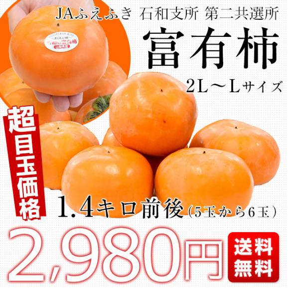 JAふえふき 石和支所 第二共選所の富有柿 2LからLサイズ 約1.4キロ（5玉から6玉）送料無料 カキ かき 市場発送03