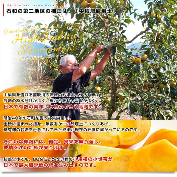JAふえふき 石和支所 第二共選所の富有柿 2LからLサイズ 約1.4キロ（5玉から6玉）送料無料 カキ かき 市場発送05