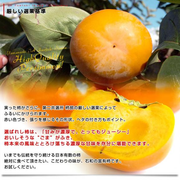 JAふえふき 石和支所 第二共選所の富有柿 2LからLサイズ 約1.4キロ（5玉から6玉）送料無料 カキ かき 市場発送06