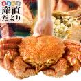 北海道より直送 北海道産 浜ゆで毛ガニ 超特大１尾800g  送料無料 カニ かに 毛蟹 