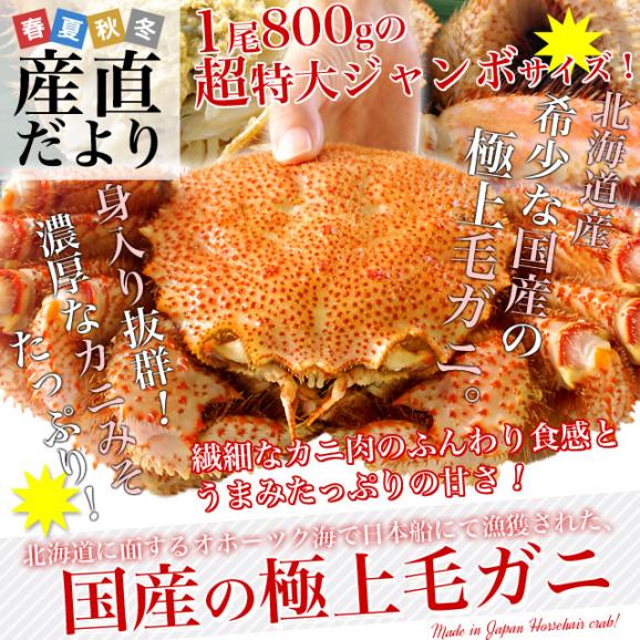 北海道より直送 北海道産 浜ゆで毛ガニ 超特大１尾800g  送料無料 カニ かに 毛蟹 02