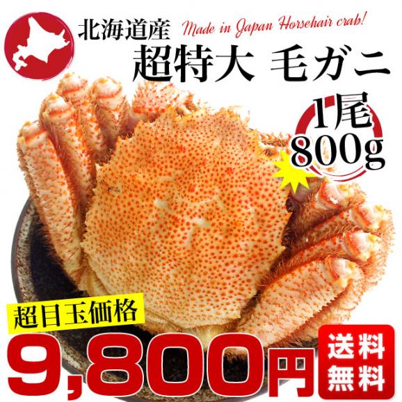 北海道より直送 北海道産 浜ゆで毛ガニ 超特大１尾800g  送料無料 カニ かに 毛蟹 03