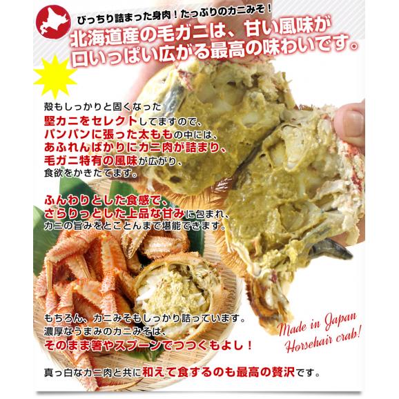 北海道より直送 北海道産 浜ゆで毛ガニ 超特大１尾800g  送料無料 カニ かに 毛蟹 05
