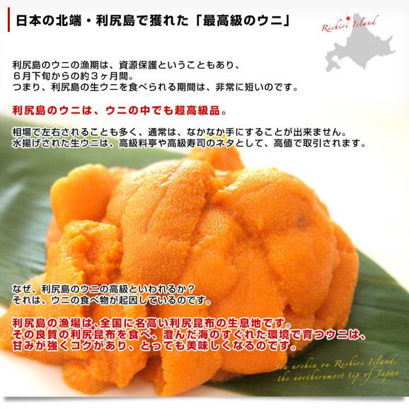 北海道 利尻島産 一夜漬 純粒うに（エゾバフンウニ） 60g×2本セット　送料無料 ウニ 雲丹04