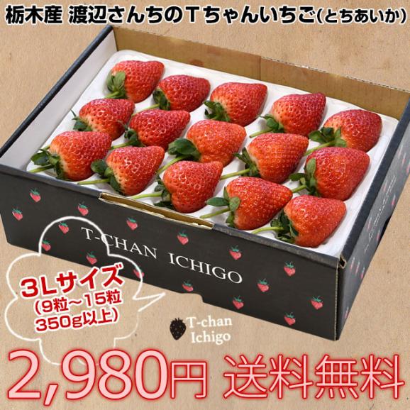 栃木県より産地直送 渡辺さんちのTちゃんいちご(とちあいか) 350g以上 　3Lサイズ(9粒から15粒)　 苺 イチゴ ストロベリー 送料無料 クール便03