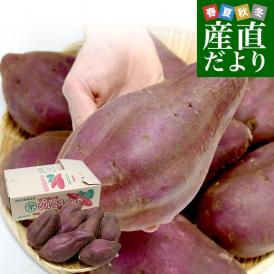千葉県産　JAかとり　シルクスイート　2LからL　約5キロ（形不揃い） 9本前後　送料無料　さつまいも　サツマイモ　薩摩芋　新芋　市場発送