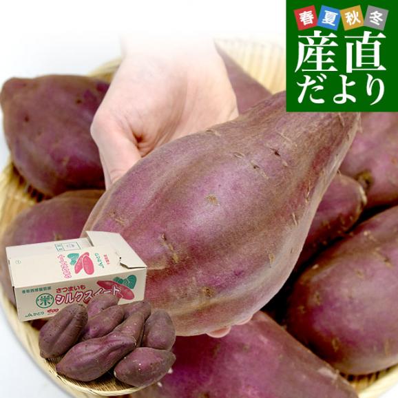 【税込?送料無料】 千葉県産 JAかとり 約5キロ（形不揃い 2LからL シルクスイート 野菜